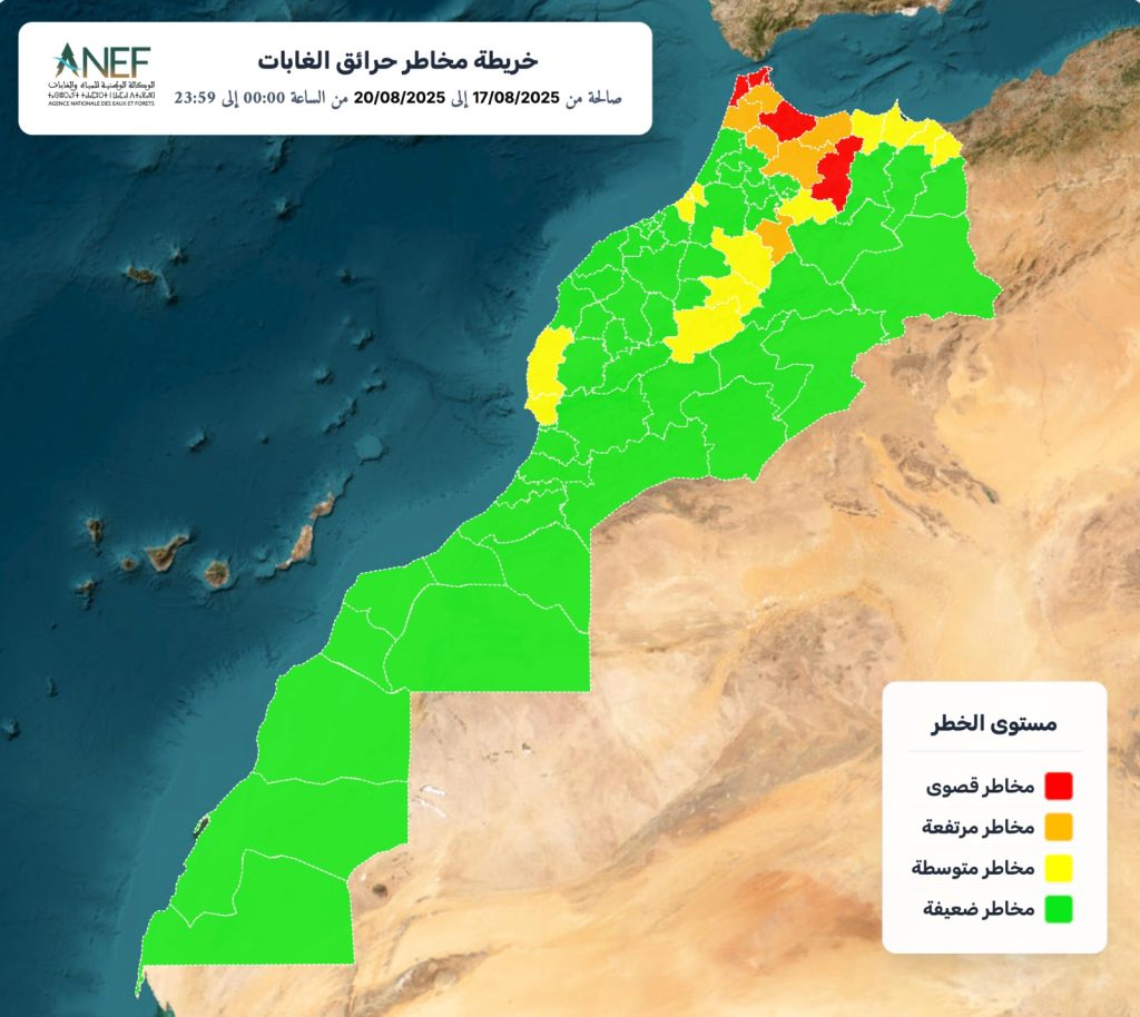 IMG-20250816-WA0007
