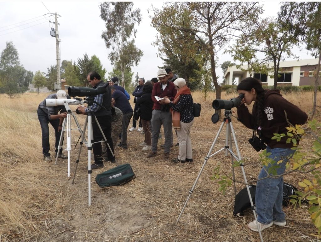 Screenshot_20251028_130637_Gallery