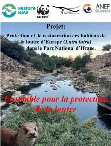 WhatsApp Image 2025-12-09 à 10.23.41_1e35b45f