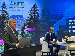 WhatsApp Image 2025-12-10 at 17.25.39